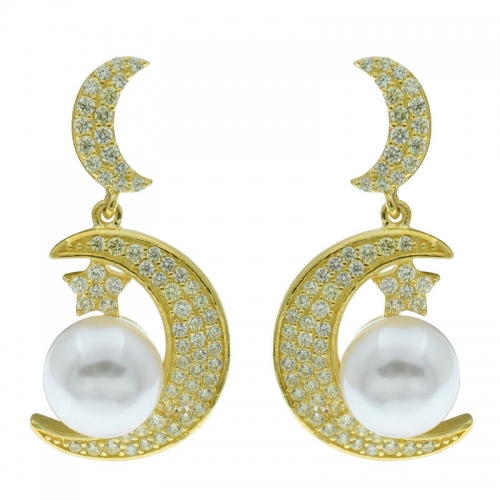 925 Silver Earrings