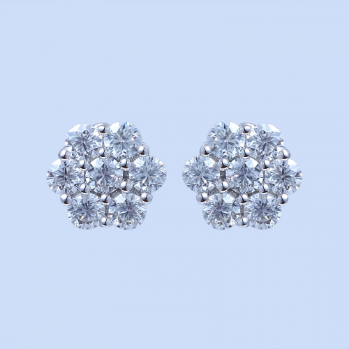 925 Silver Earrings