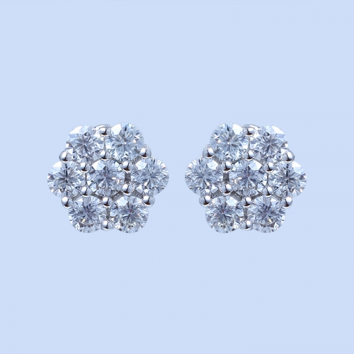 925 Silver Earrings