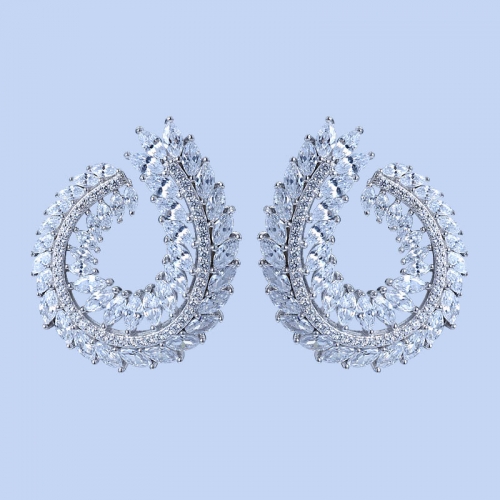 925 Silver Earrings