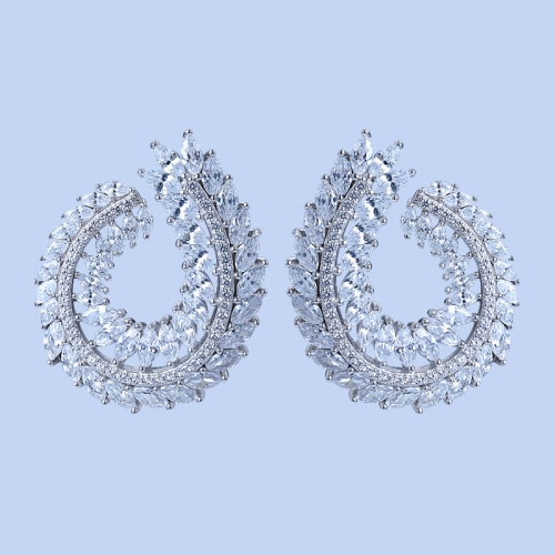 925 Silver Earrings