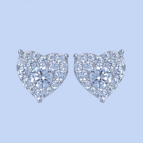 925 Silver Earrings