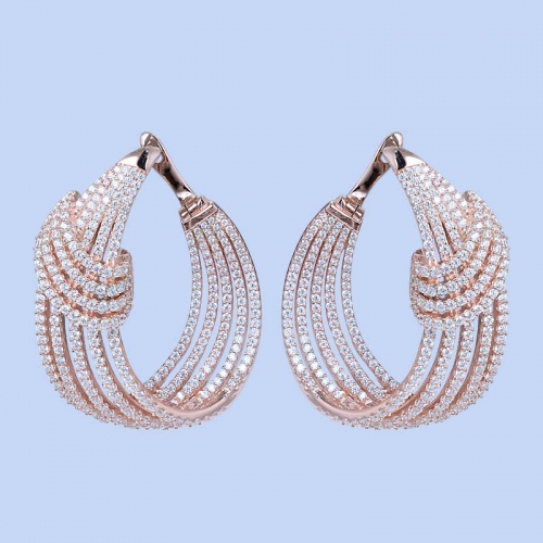 925 Silver Earrings