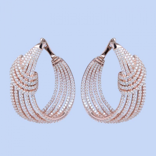 925 Silver Earrings