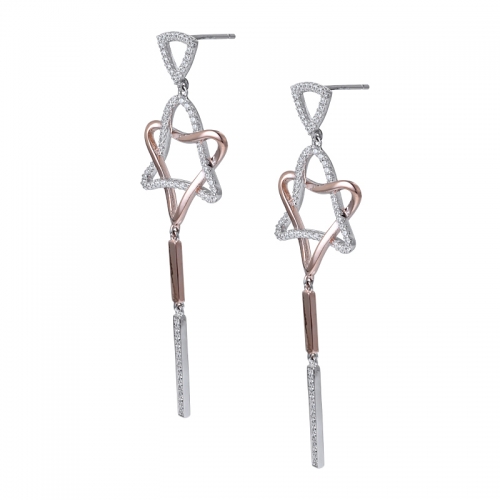 925 Silver Earrings