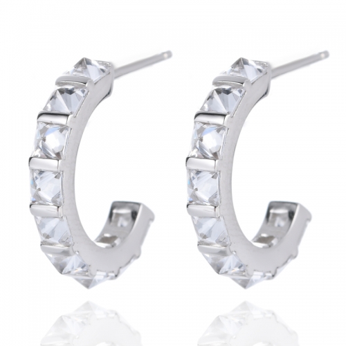 925 Silver Earrings