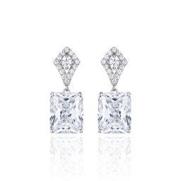 925 Silver Earring
