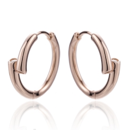 925 Silver Earring
