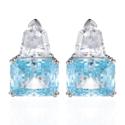 925 Silver Earring