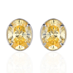 925 Silver Earring